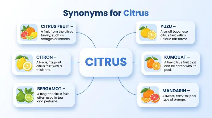 synonyms for citrus