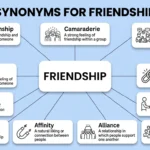 synonyms for friendship